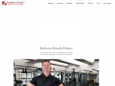 bellevueresultsfitness.com snapshot