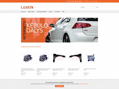 lastik.lt snapshot