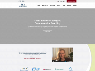 www.smallbusresults.com snapshot