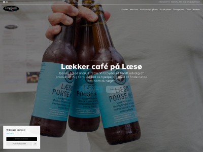 laesoeretro.dk snapshot