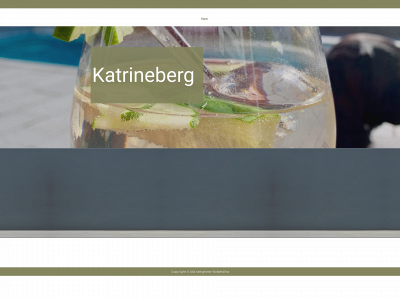 behrenfors.com snapshot