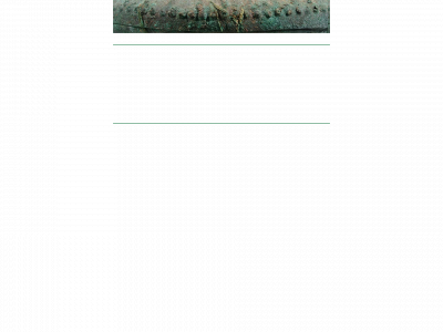 restaurierung-stelzner.de snapshot