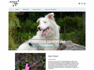 blackpaws.se snapshot