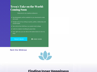 tessastakeontheworld.com snapshot