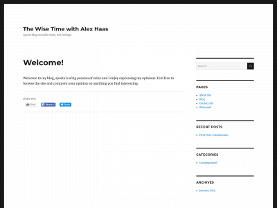 thewisetime.com snapshot