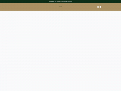 sjeffaandezaan.nl snapshot