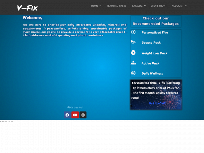 v-fix.net snapshot