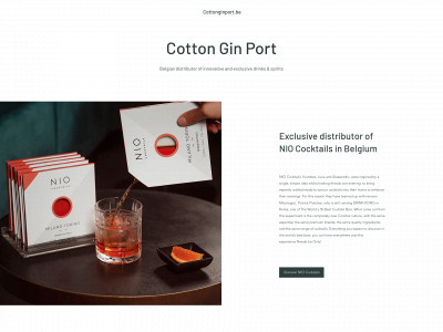 cottonginport.be snapshot