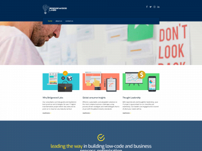 bridgewoodlabs.com snapshot