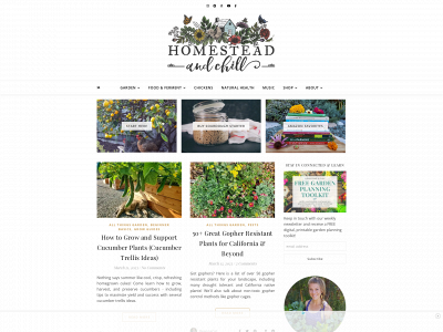 homesteadandchill.com snapshot