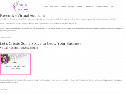 www.prodigyvasolutions.com snapshot