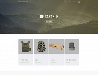 crusaderconcepts.com snapshot