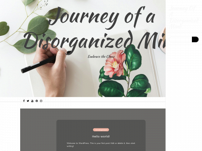 journeyofadisorganizedmind.com snapshot