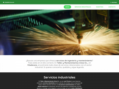 tmuserviciosindustriales.com snapshot
