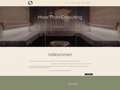 mt-consulting.dk snapshot
