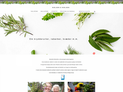 nielsenognielsen.dk snapshot