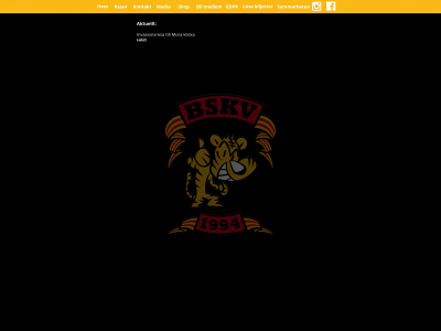 bskv.se snapshot