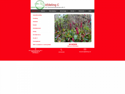 afdelingc.net snapshot