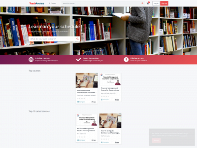 teachavenue.com snapshot