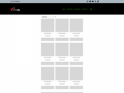 publicflyperu.net snapshot