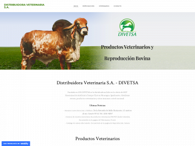 divetsa.com snapshot