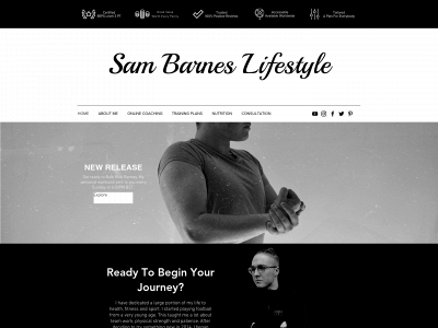 sambarneslifestyle.co.uk snapshot