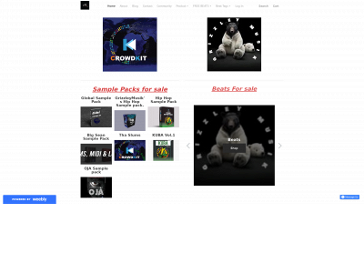 crowdkit.weebly.com snapshot