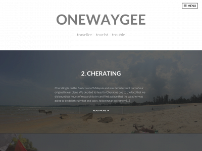 onewaygee.com snapshot