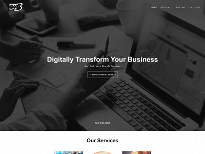 dt3agency.com snapshot