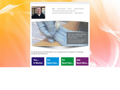 acupuncturetn.com snapshot