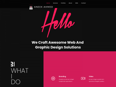 aneekahmed.com snapshot