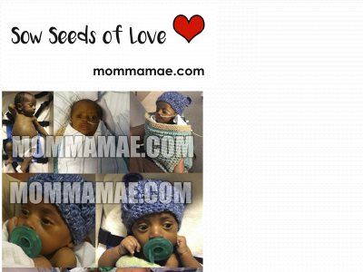 mommamae.com snapshot