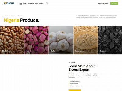 zisonaexport.com snapshot