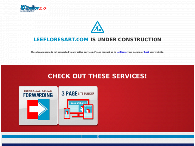 leefloresart.com snapshot