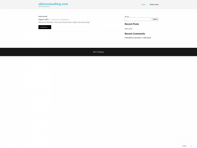 obhrconsulting.com snapshot