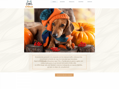 elmimado.com snapshot