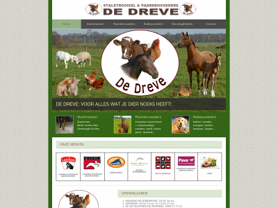 de-dreve.be snapshot