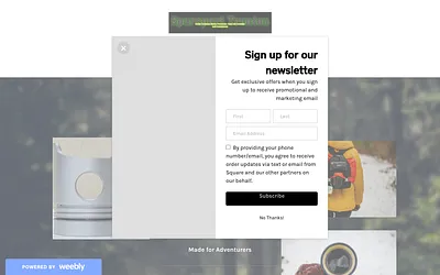 sparepattronton.weebly.com snapshot