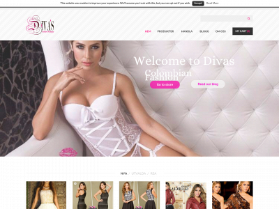 divassweden.se snapshot