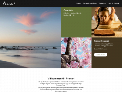 pranari.se snapshot