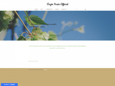 behindvbrain.weebly.com snapshot