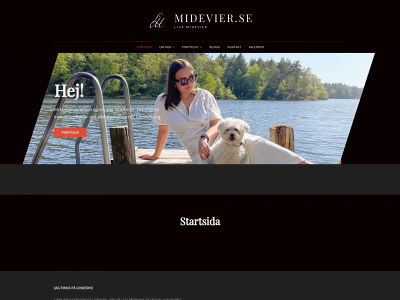 midevier.se snapshot
