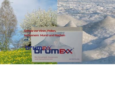 www.brumexx.ch snapshot
