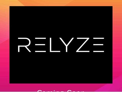 relyze.nl snapshot
