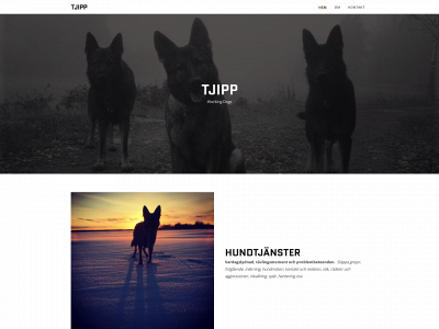 tjipp.nu snapshot