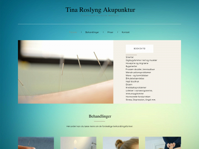 tinaroslyng.dk snapshot
