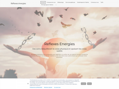reflexesenergies.fr snapshot