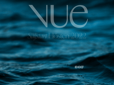 vasterasvue.se snapshot