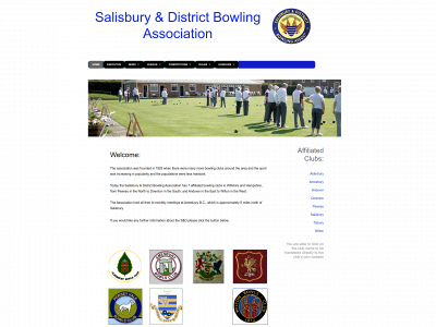 salisburyanddistrict.org.uk snapshot