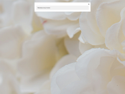 southeastflowerwalls.co.uk snapshot